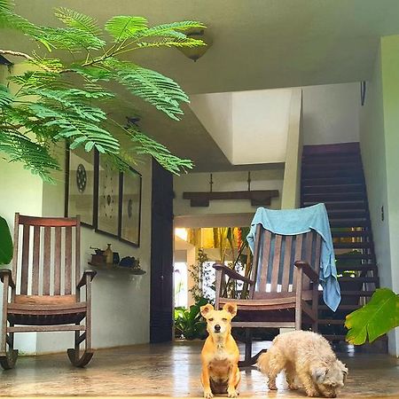 El Hotelito At The Rainforest Experience Farm Fajardo Zewnętrze zdjęcie