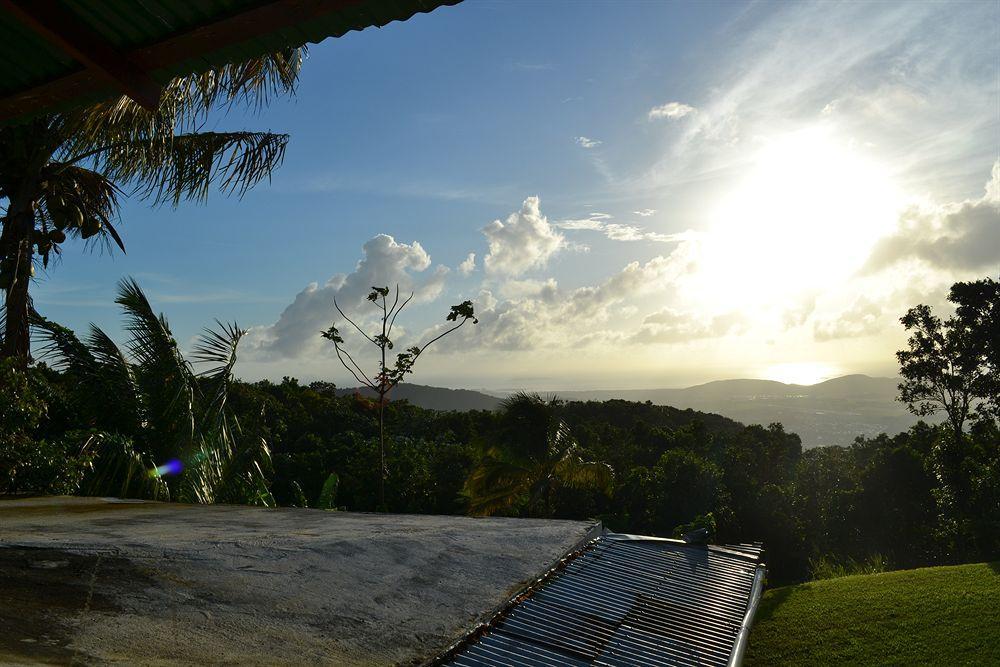 El Hotelito At The Rainforest Experience Farm Fajardo Zewnętrze zdjęcie