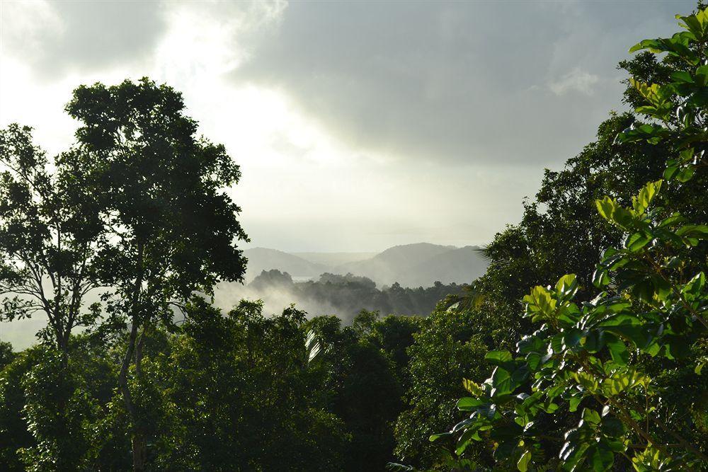 El Hotelito At The Rainforest Experience Farm Fajardo Zewnętrze zdjęcie