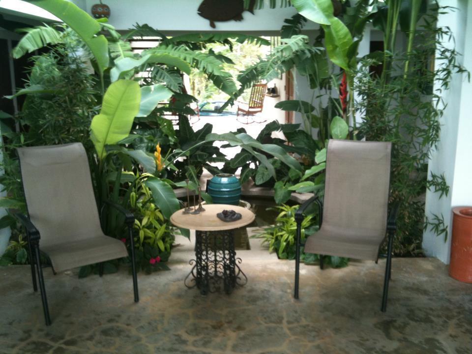 El Hotelito At The Rainforest Experience Farm Fajardo Zewnętrze zdjęcie