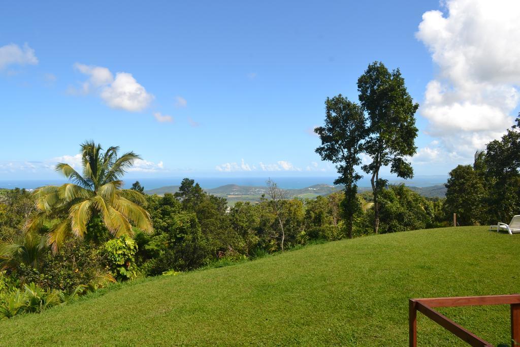 El Hotelito At The Rainforest Experience Farm Fajardo Zewnętrze zdjęcie