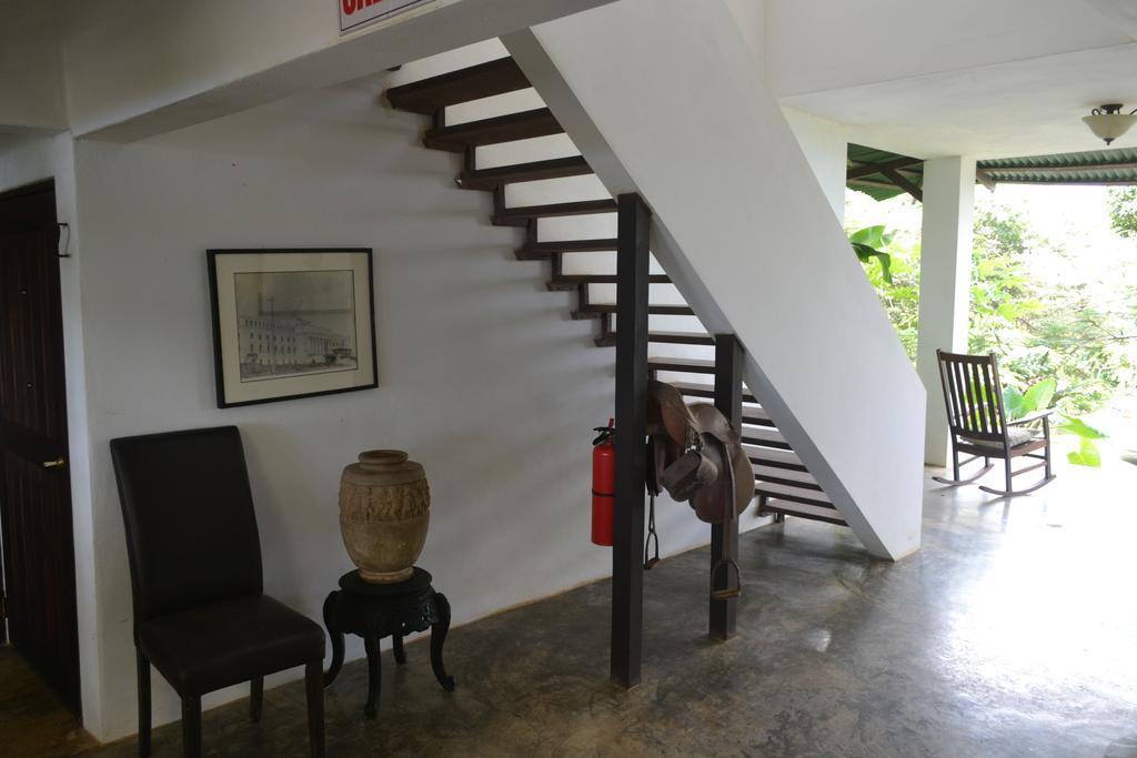 El Hotelito At The Rainforest Experience Farm Fajardo Zewnętrze zdjęcie