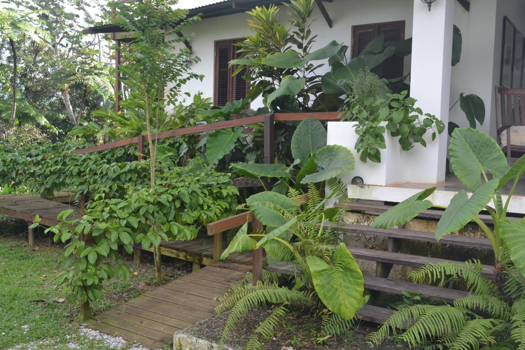 El Hotelito At The Rainforest Experience Farm Fajardo Zewnętrze zdjęcie