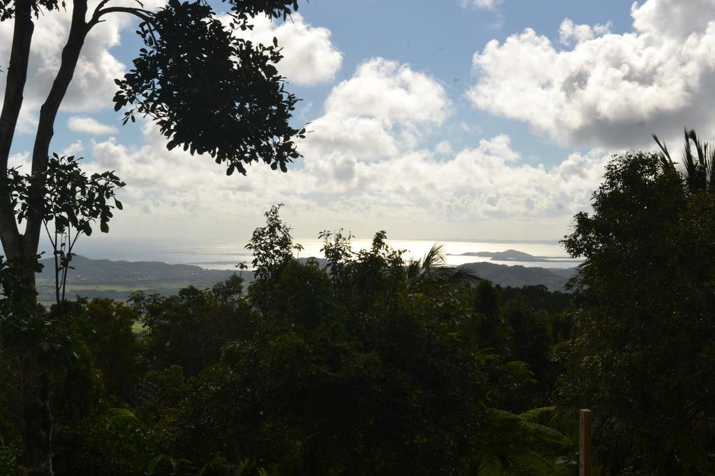El Hotelito At The Rainforest Experience Farm Fajardo Zewnętrze zdjęcie