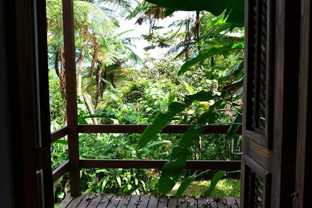 El Hotelito At The Rainforest Experience Farm Fajardo Zewnętrze zdjęcie