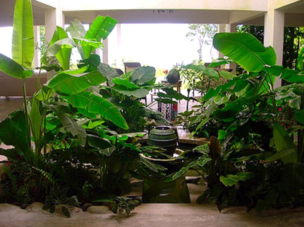 El Hotelito At The Rainforest Experience Farm Fajardo Zewnętrze zdjęcie