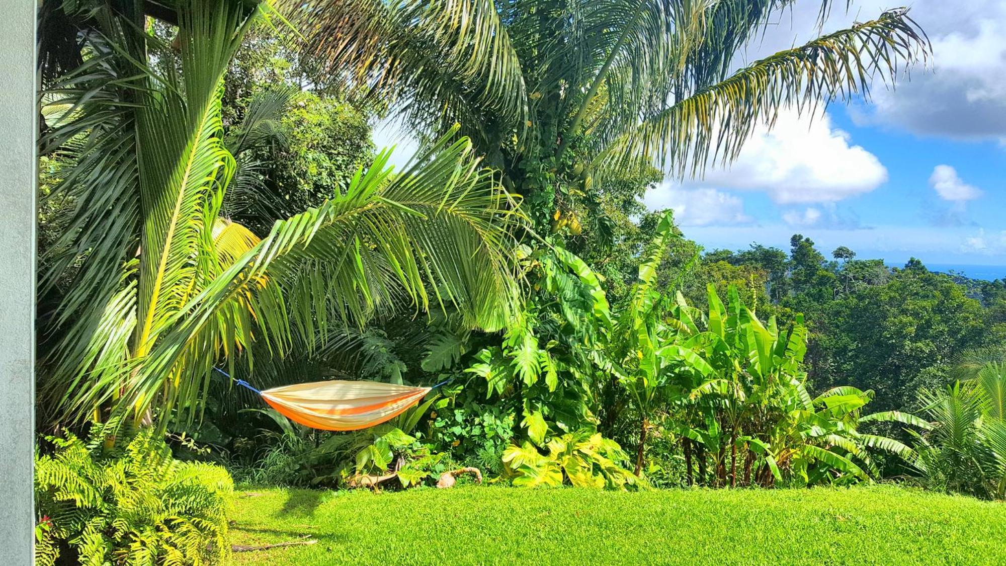 El Hotelito At The Rainforest Experience Farm Fajardo Zewnętrze zdjęcie