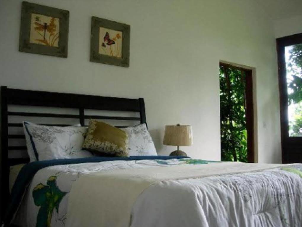 El Hotelito At The Rainforest Experience Farm Fajardo Zewnętrze zdjęcie